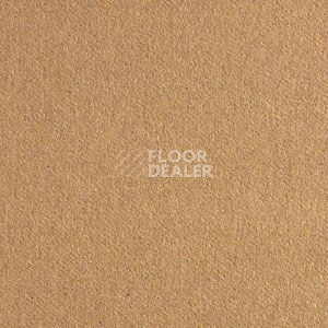 Ковролин Brintons Finepoint Tiepolo Gold bf 176 фото 1 | FLOORDEALER